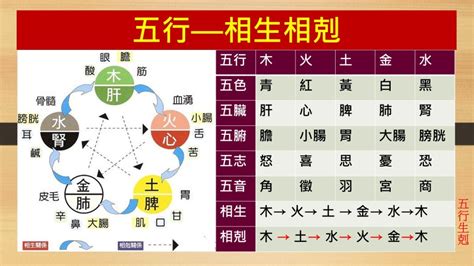 夫妻五行相剋化解|五行相生相克婚配法